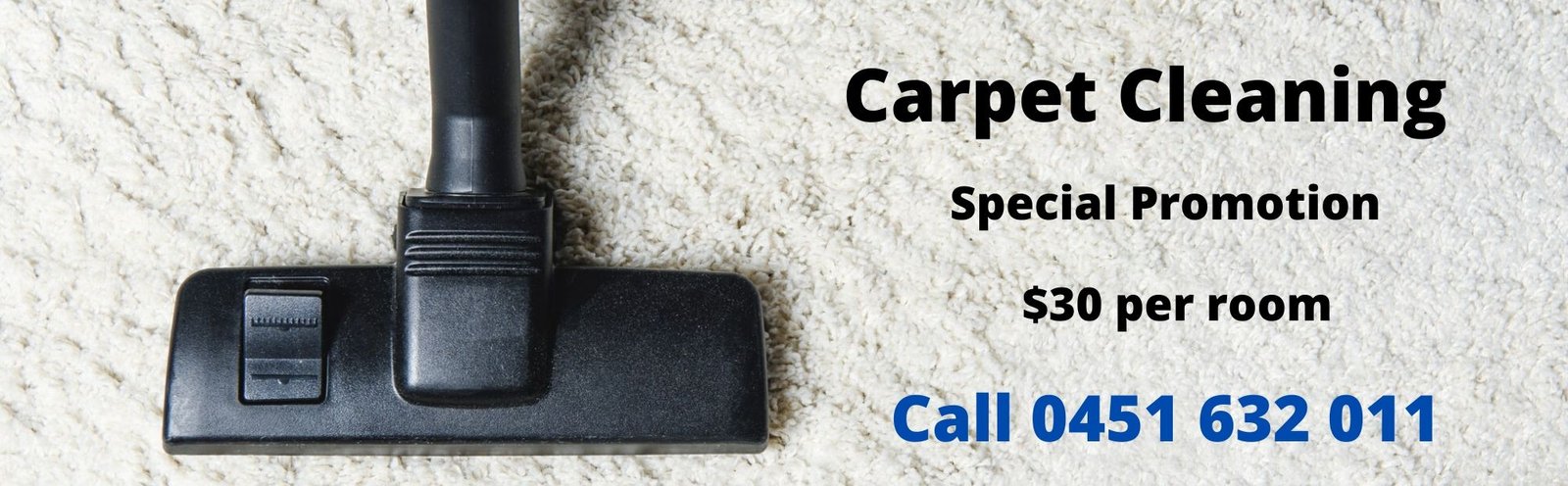 carpet cleaning special price