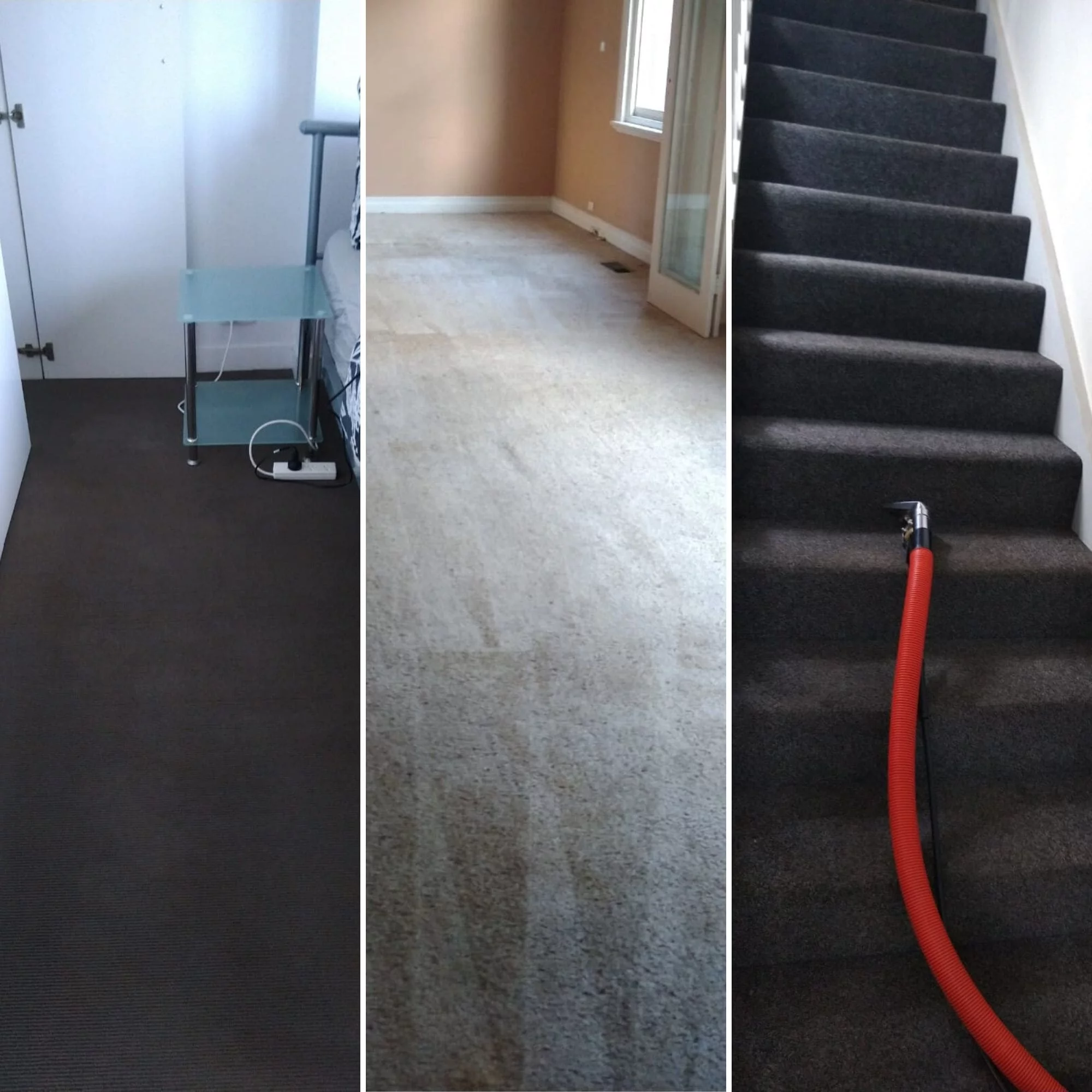 Professional carpet steam cleaning process