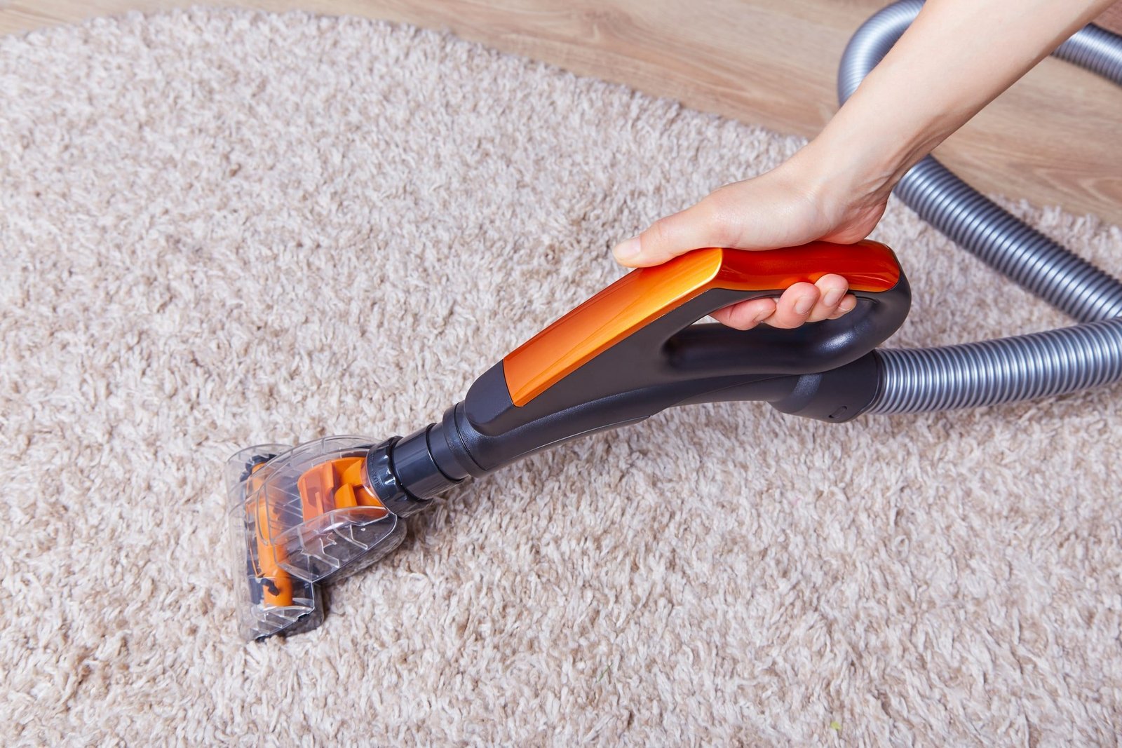 Professional Rug Cleaners Rug Cleaning Services Oxford Cleaning Sydney