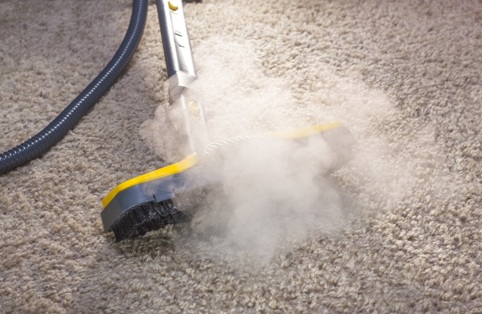 Steam Carpet Cleaning