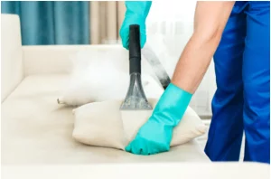 Upholstery Cleaning